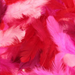 Plumes colorées 10 g - Rouge