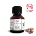 Huile de calophylle BIO 50 ml