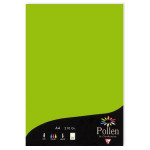 Papier  faire part Pollen A4 210g par 25 couleurs variées - Vert Menthe