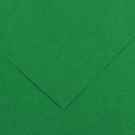 Papier Vivaldi lisse 240g/m² 50 x 65cm - 30 - Vert Mousse