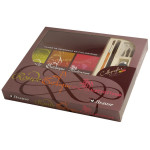 Set d'apprentissage de la calligraphie n°1