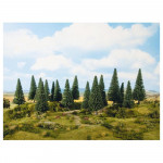 Sapin 4 à 10 cm - 16 pcs - Noch